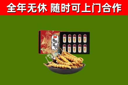 金口河区回收冬虫夏草价格