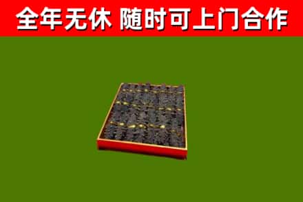金口河区回收海参
